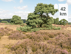 Fietsroute Meer Veluwe