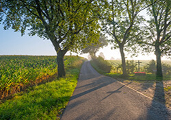 Bijna in België