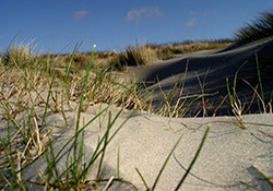 Door de Brabantse Duinen