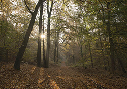 Fietsroute door de Oost-Achterhoek