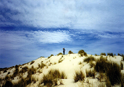 Fietsroute door de Westduinen