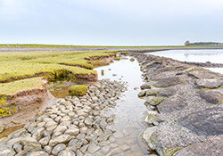 Fietsroute door het Smallingerland