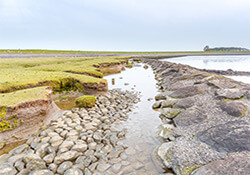 fietsroute door het smallingerland