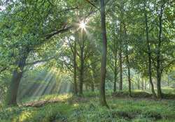 Fietsroute door Nationaal Park Veluwezoom