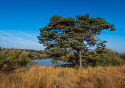 Fietsroute Echt en Susteren