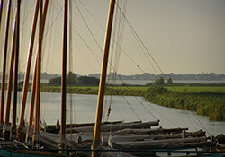 Fietsroute Feest in Friesland