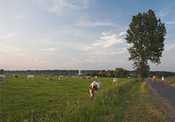 Fietsroute hardenberg en de vecht