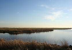 Fietsroute Hoeksche waard