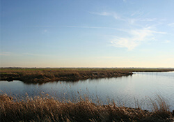 Fietsroute Hoeksche Waard