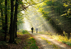 Fietsroute langs Lutte en Losser