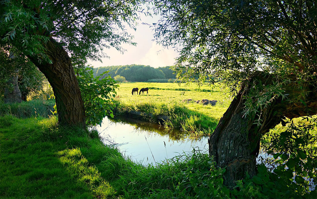 Fietsroute Mooi Markelo Fietsroute Mooi Markelo