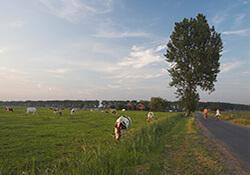 Fietsroute Nationaal Park Lauwersmeer