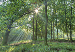 Fietsroute Nationaal Park Veluwezoom