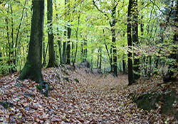 Fietsroute Over de Heuvelrug bij Zeist