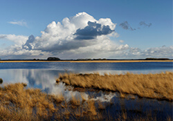 Fietsroute rond het Twiske