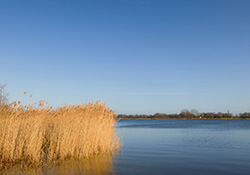 Fietsroute Tsjukemar