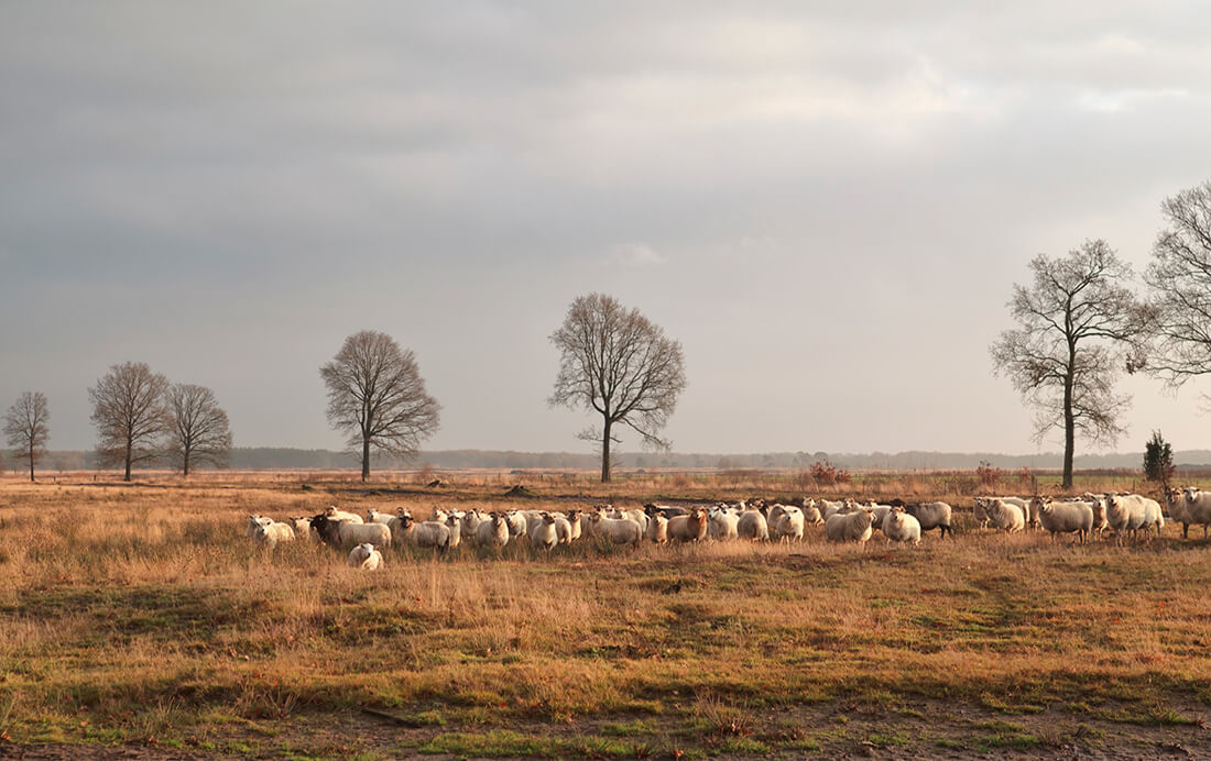 Fietsroute van de week (28) | Genieten in het Gooi Fietsroute van de week (28) | Genieten in het Gooi
