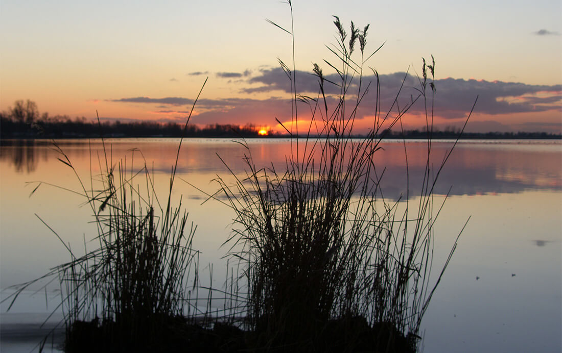 Fietsroutes door Natuurgebieden Fietsroutes door Natuurgebieden