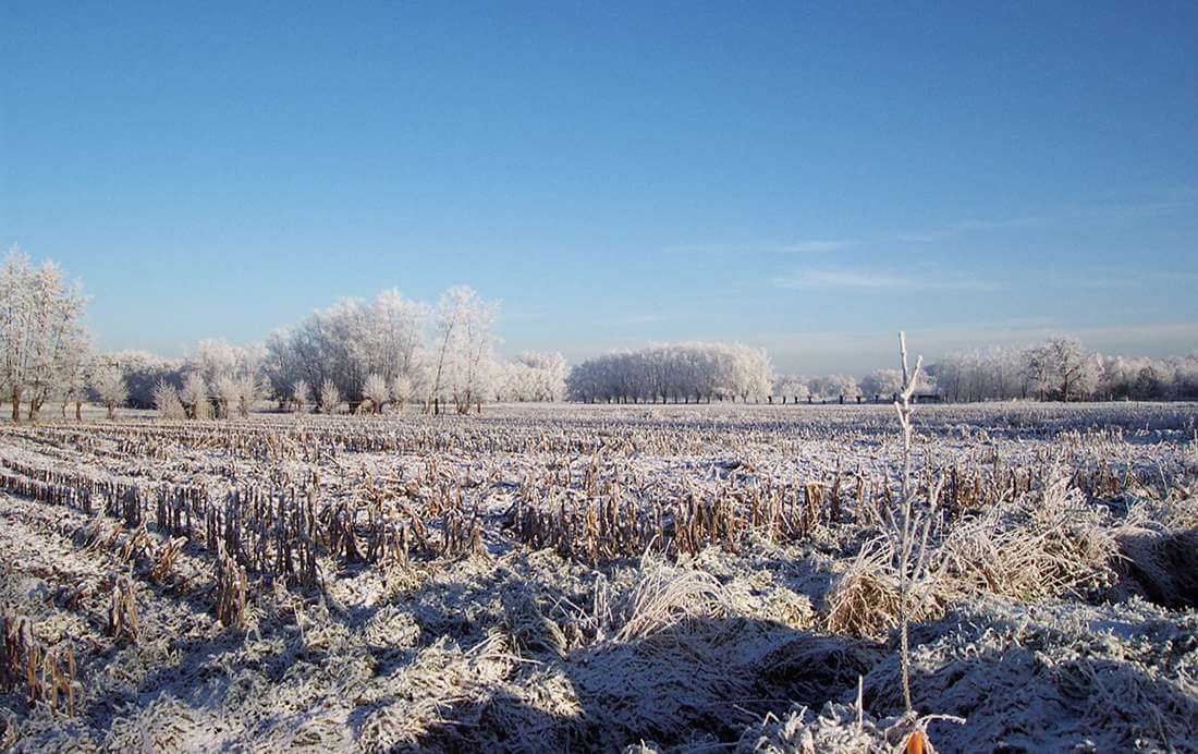 Fietsroutes voor mooie winterse plaatjes Fietsroutes voor mooie winterse plaatjes