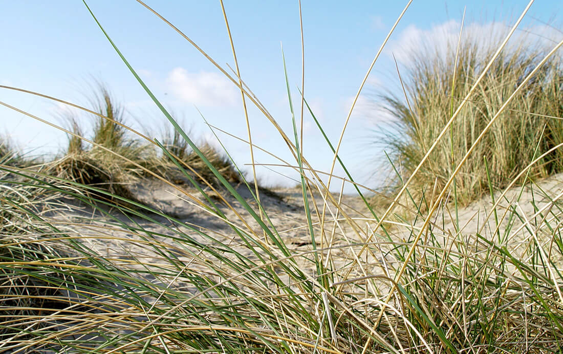 Geniet van het heerlijke Noord-Holland Geniet van het heerlijke Noord-Holland