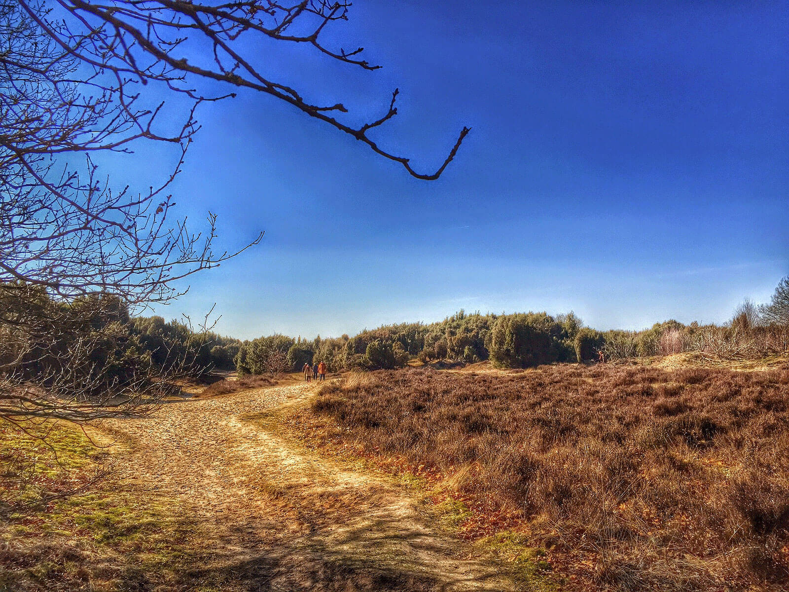 Fietsroutes Heerlijk Drenthe