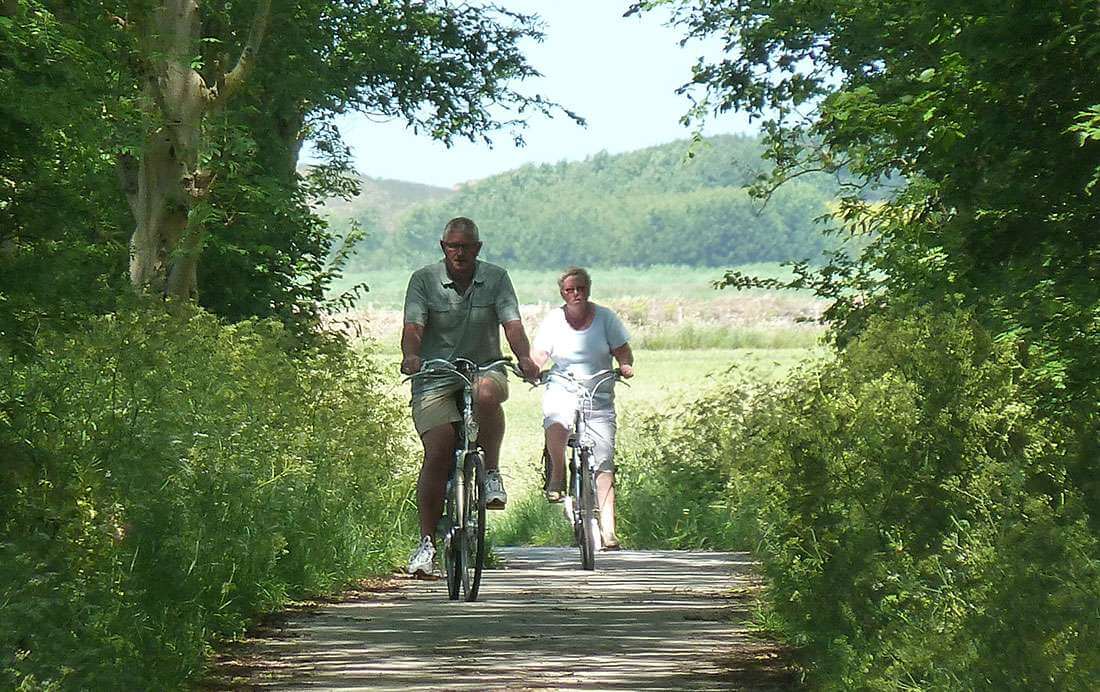 Nederlanders fietsen meer dankzij elektrische fiets Nederlanders fietsen meer dankzij elektrische fiets