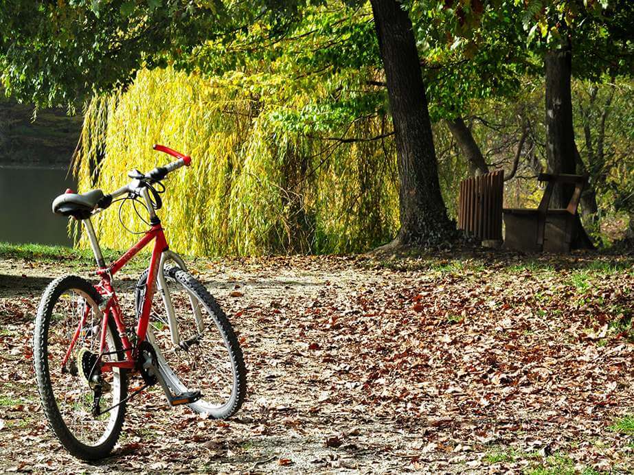 Wat vindt u de perfecte fietsroute Wat vindt u de perfecte fietsroute?