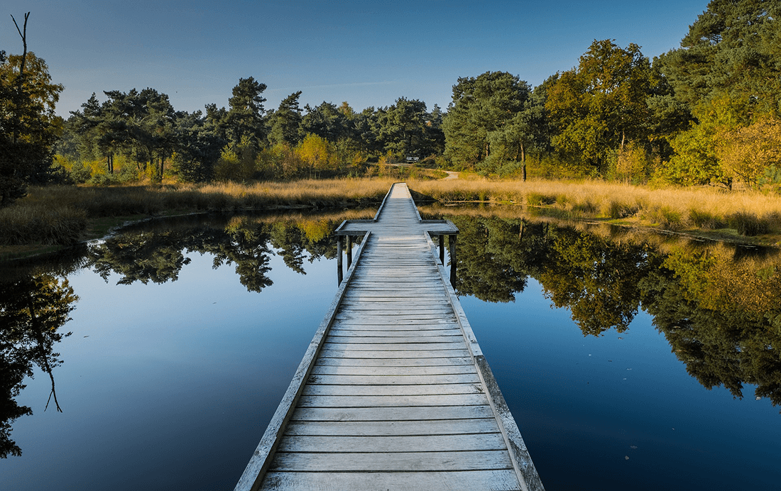 Themaroutes | Fietsroutes in Limburg header Themaroutes | Fietsroutes in Limburg header